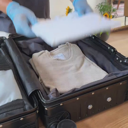 Nest+ PackWunder